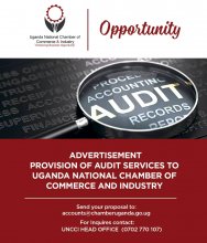 Audit Firm Opportunity 